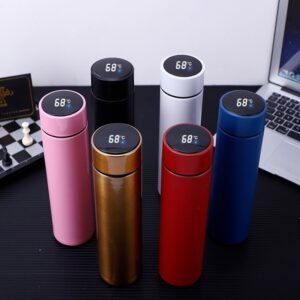 Temperature Display Vacuum Insulated Water Bottle Thermo Flask Made of Premium Stainless Steel (Random Color)