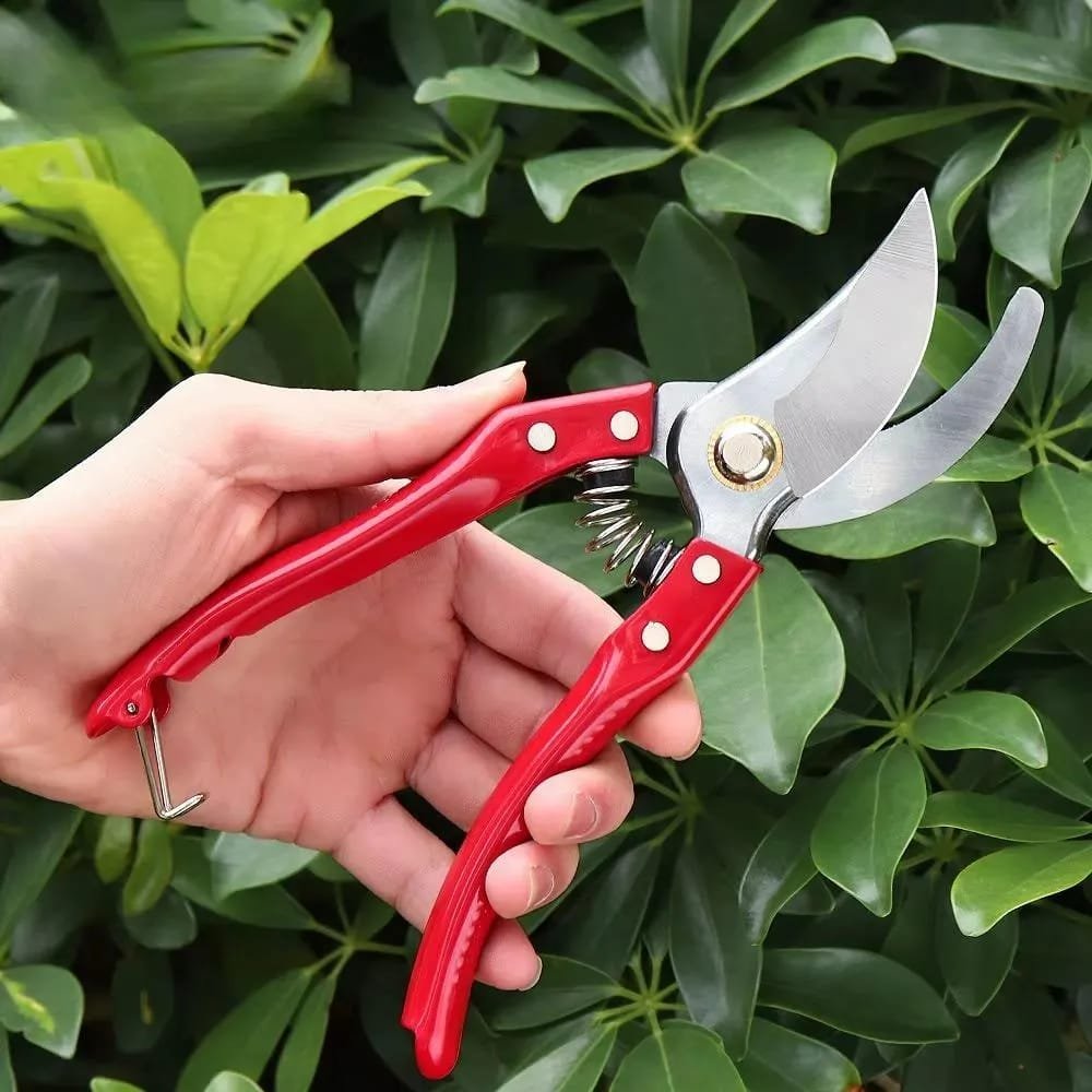 High Carbon Steel Pruning Shears – Stainless Steel Garden Cutter - Image 2
